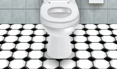 Cum poţi evita să contractezi o boală atunci când foloseşti o toaletă publică