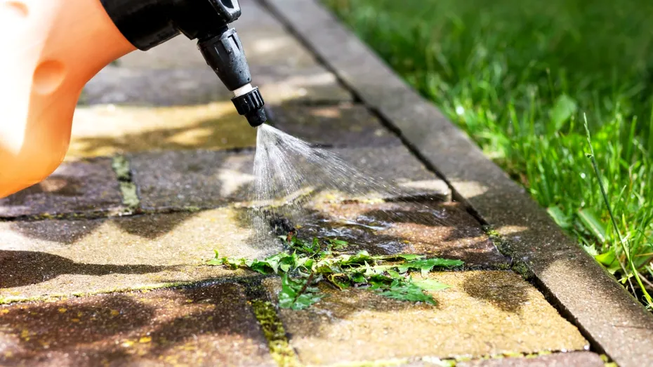 Scapă de buruieni în câteva ore cu un spray natural din doar două ingrediente