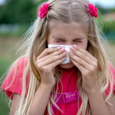 Ești alergic la ambrozie? Încearcă această băutură detox și antiinflamatoare!