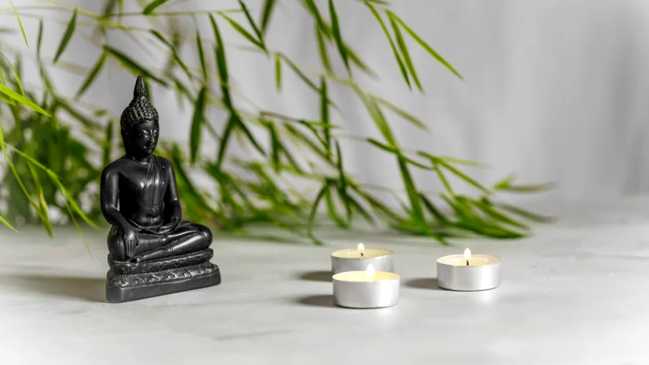 Floarea care poate alunga energiile negative din casă. Nu necesită îngrijire specială