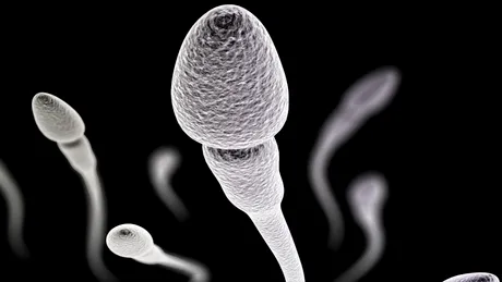 Crezi că ai spermă... de calitate? Află răspunsul cu ajutorul unei aplicaţii pe smartphone!