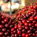 Cireșele au ajuns un lux în piețe. Fructele se vând și cu 150 de lei kilogramul, iar românii cumpără „doar de poftă”