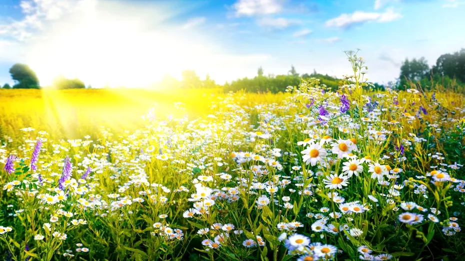 Cum va fi vremea în minivacanța de 1 Mai. ANM a actualizat prognoza