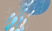 Soia, un pericol pentru sperma