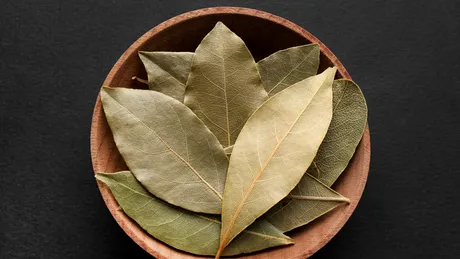 Ce se întâmplă dacă pui câteva frunze de dafin în mașina de spălat. Trucul ingenios pentru rufele tale