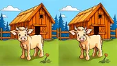 Test de perspicacitate | Găsiți toate diferențele dintre aceste două poze!