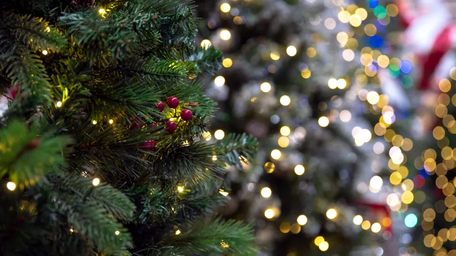 Cât a ajuns să coste un brad artificial anul acesta? Prețurile din magazine îi surprind pe cumpărători