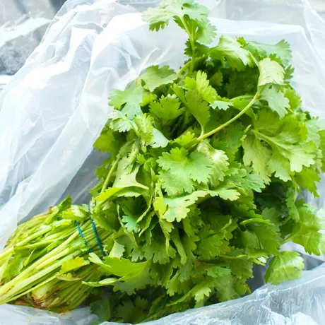 „De ce gustul de coriandru e ca săpunul pentru unii?” Explicarea fenomenului neobișnuit