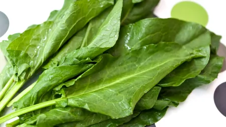 Rulourile din ștevie pane, o delicatesă în Postul Paștelui. Rețeta nu e complicată și se face în doar 10 minute