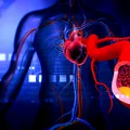 Colesterolul mărit nu dă aproape niciodată simptome, iar depunerile de grăsime în artere pot începe încă din copilărie. Ghidul AHA pentru o inimă sănătoasă