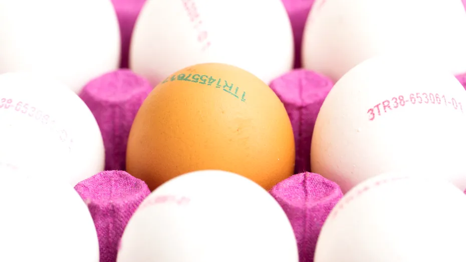 Ouă albe sau maro: care sunt mai bune și ce înseamnă codul de pe ouă?