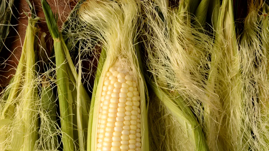 Tratamentul miraculos pentru păr cu ulei de porumb! Acționează în doar câteva minute