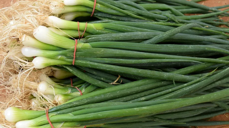 Cum să crești ceapă verde în pahar, fără pământ și fără efort