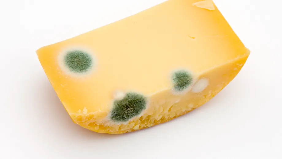 Dacă mucegăiește brânza în frigider este sigur să cureți partea stricată și să o mănânci?