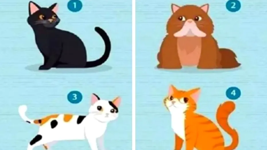 Testul pisicilor care îți dezvăluie personalitatea ascunsă! Alege ghemotocul de blană preferat și vezi ce spune acesta despre tine