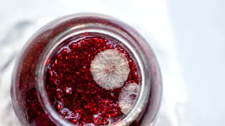 Ce trebuie să pui în borcanele de dulceață ca să nu facă floare. Secretele gospodinelor pricepute