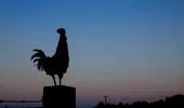„De la cocoși la knocker-uppers”: cum își organizau oamenii trezirea înainte de ceasurile deșteptătoare
