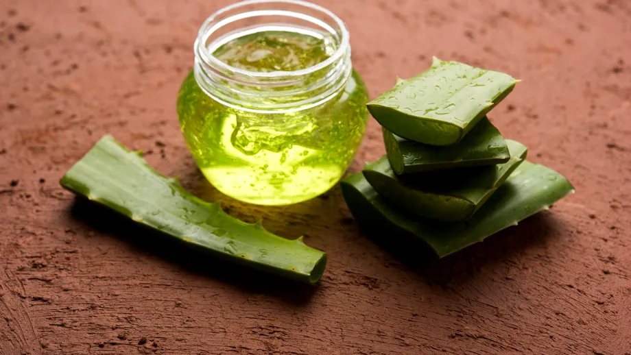 8 beneficii surprinzătoare ale utilizării plantei de aloe vera