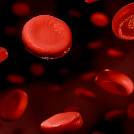 „E incredibil, ca science fiction”: cum imunoterapia schimbă tratamentul cancerului