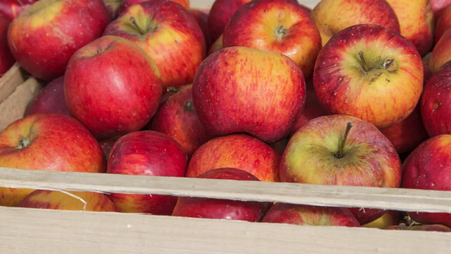 De ce se strică merele în beci și cum le poți păstra corect peste iarnă