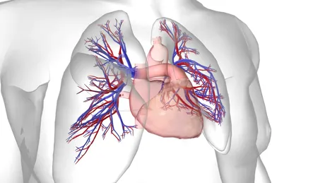 Hipertensiunea arterială pulmonară: o boală rară, complexă și deseori neînțeleasă
