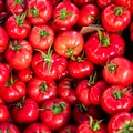 Secretul roșiilor cu adevărat gustoase. Semnele care arată că ai ales un fruct plin de aromă
