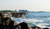 Bacteria „mâncătoare de carne” Vibrio se răspândește pe litoral. Ce trebuie să știe turiștii despre infecția periculoasă?