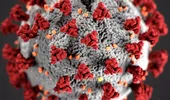 Li Edelkoort: „Epidemia cu coronavirus duce la o carantină a consumului”