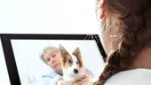 Consultaţii online gratuite pentru sănătatea animalelor de companie