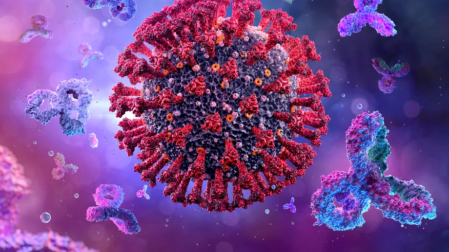 Expert: „Oamenii s-ar putea reinfecta cu coronavirus la fiecare 2 sau 4 ani. Se dezvoltă noi variante”