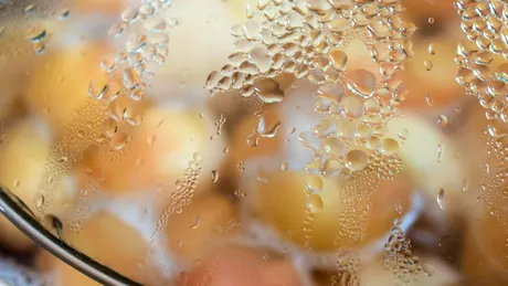 Merele gătite – remediu natural pentru intestin și inflamație