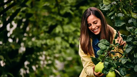 Greșeala care poate distruge livada la început de toamnă! Mulți români neglijează acest aspect