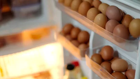 Câte zile poți ține ouăle la frigider? Modul corect pentru a le depozita în siguranță