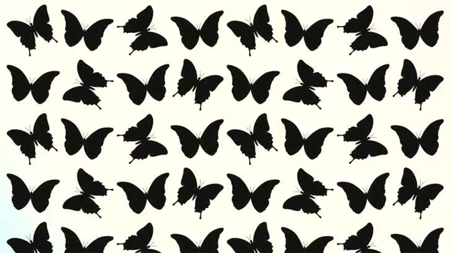 Iluzie optică virală | Găsiți fluturele diferit de ceilalți, în maximum 5 secunde!