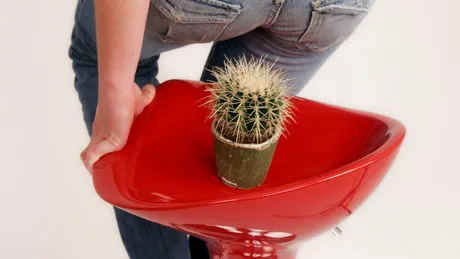 Medic homeopat român: cum tratăm hemoroizii, fără tratament chirurgical