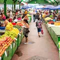 Fructul care are beneficii notabile pentru sănătate. Se consumă în timpul verii și se găsește la toate tarabele
