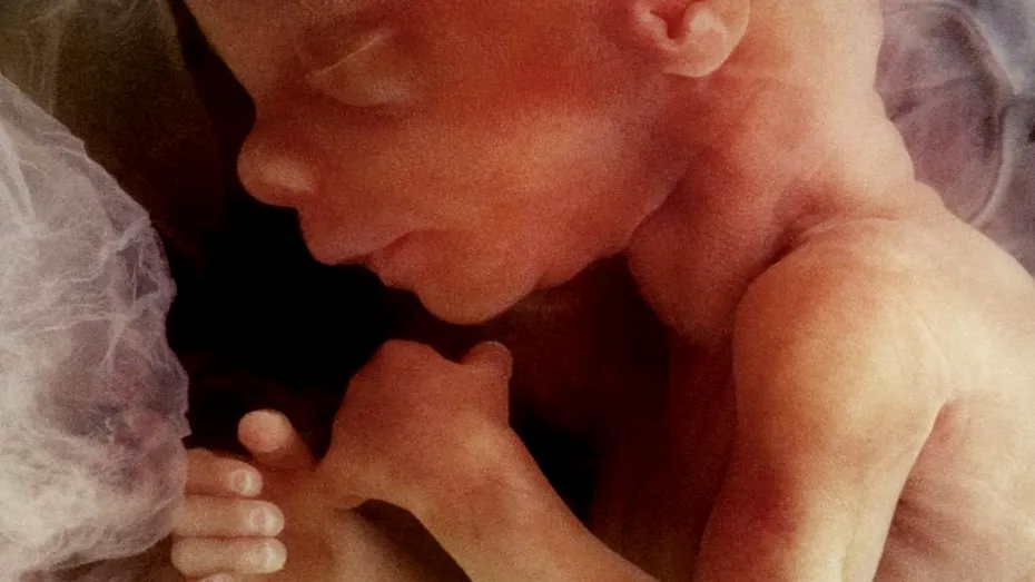 Lichidul amniotic: ce rol are și ce este anormal