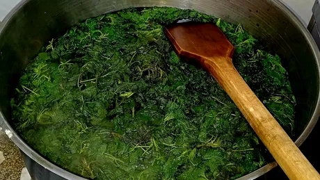Cea mai simplă mâncare de urzici, după rețeta călugărului bucătar Efrem Băndărică