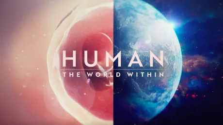 ”Human: The World Within” (NETFLIX), documentarul despre această mașinărie uimitoare care este omul