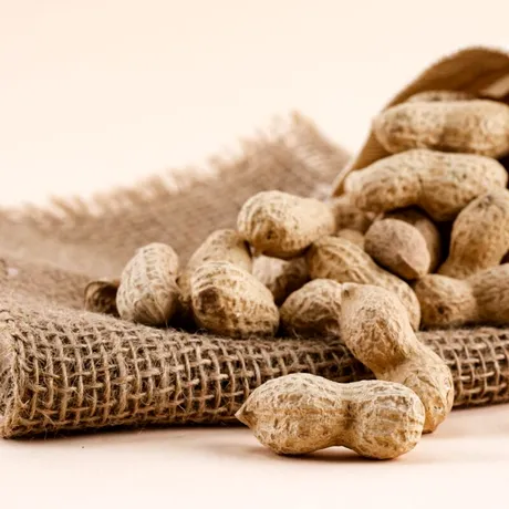 De ce coaja de arahide merită atenţie: inima, intestinul şi sistemul imunitar în prim‑plan