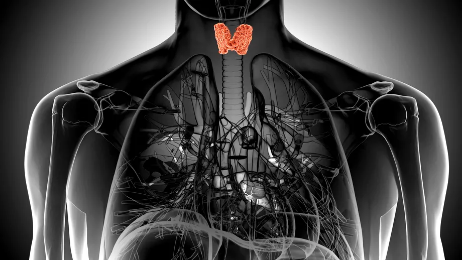 Cancerul tiroidian: cum poate fi depistat - VIDEO by CSID