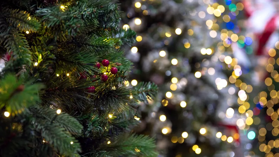 Cât a ajuns să coste un brad artificial anul acesta? Prețurile din magazine îi surprind pe cumpărători