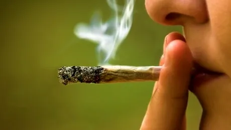 Consumul de marijuana creează amintiri false!