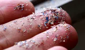 Descoperire uriașă făcută de cercetători! Microplasticele au fost depistate în sângele uman