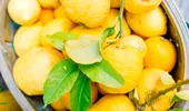 Trucuri simple ca să păstrezi lămâile suculente mai mult timp vara și să nu se mai usuce în frigider