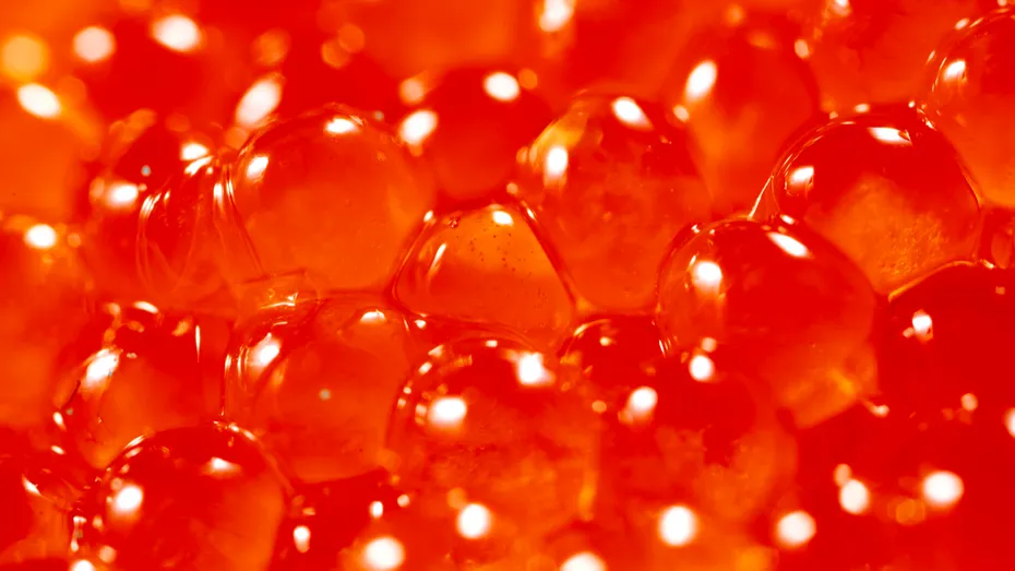 Extractul de caviar – beneficiile aduse tenului