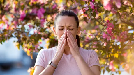 3 tipuri de alimente care pot agrava alergiile de sezon