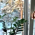Cât timp trebuie să aerisești casa iarna? Greșeala pe care o fac mulți când lasă geamul rabatat
