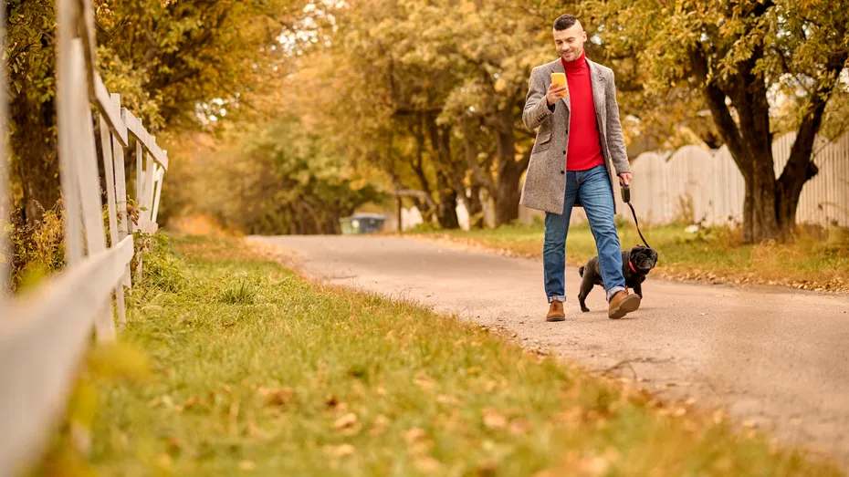 Atenție la plimbările cu câinele! Dacă ești distras de telefon, îl poți enerva. Importanța conectării cu animalul tău de companie