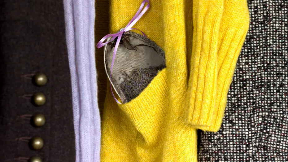 Cum să-ți transformi dulapul într-o zonă INTERZISĂ pentru molii. Nu ai nevoie de soluții chimice